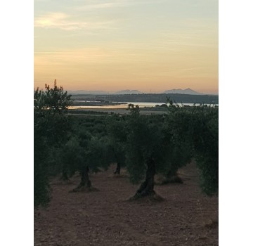 Los canchales.....SABOR DE EXTREMADURA