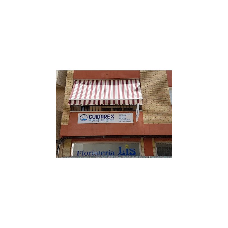 Cuidarex. Agencia dependencia. Servicios psicología, logopedia, fisioterapia y terapia ocupacional. Acreditación del SEPAD