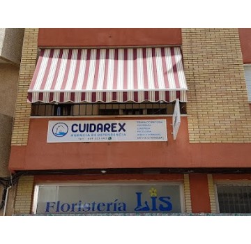 Cuidarex. Agencia dependencia. Servicios psicología, logopedia, fisioterapia y terapia ocupacional. Acreditación del SEPAD