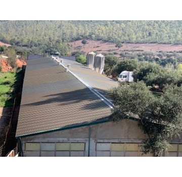 Finca El Puerto