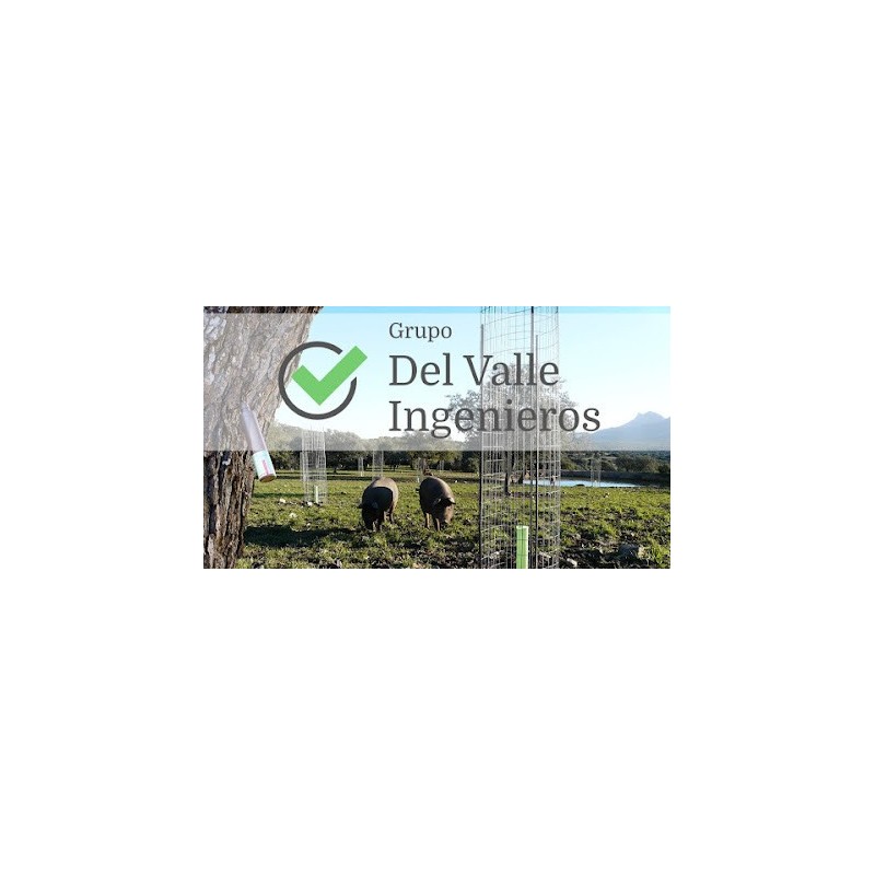 Grupo Del Valle Ingenieros