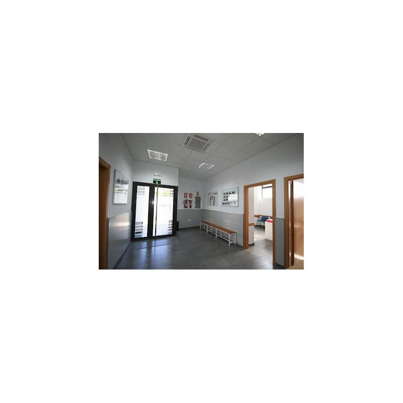 Centro De Idiomas Cervantes