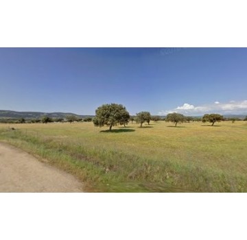 Campo De Tiro Al Plato De Valdecaballeros