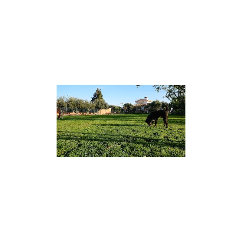 Residencia Canina Cliveal