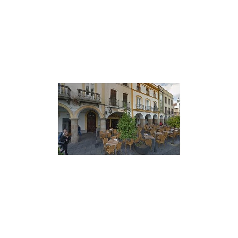Instituto de Arqueologia - CSIC, Junta de Extremadura