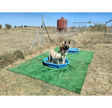 Escuela y Residencia Canina Can de Luna
