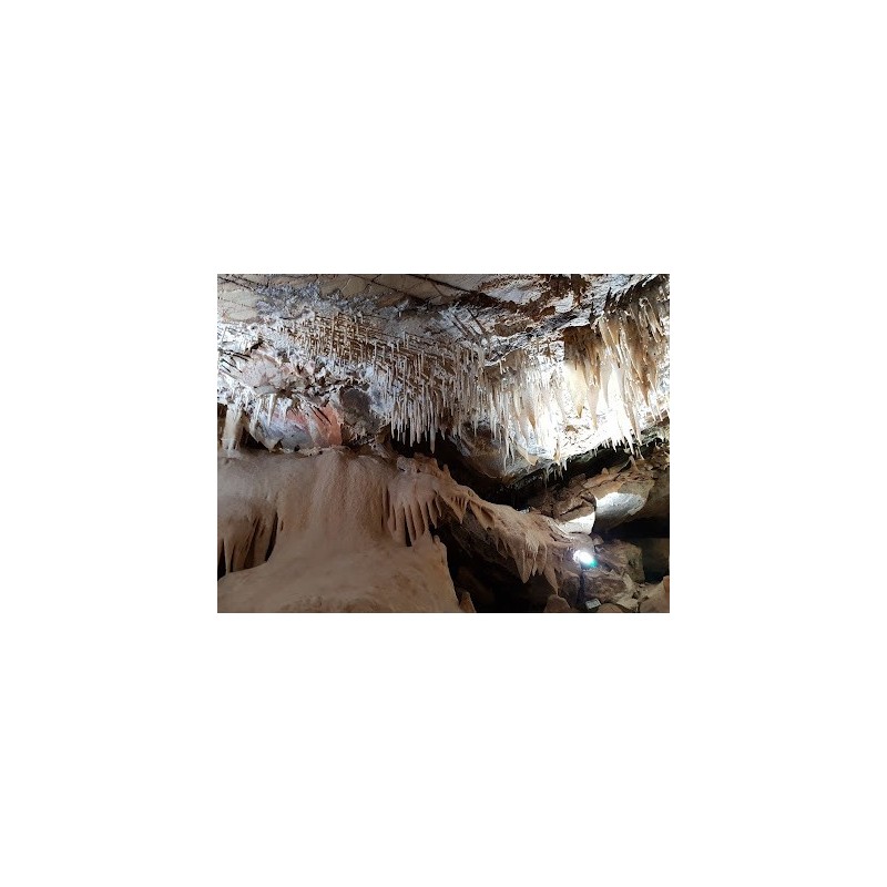 Cuevas de Fuentes de León