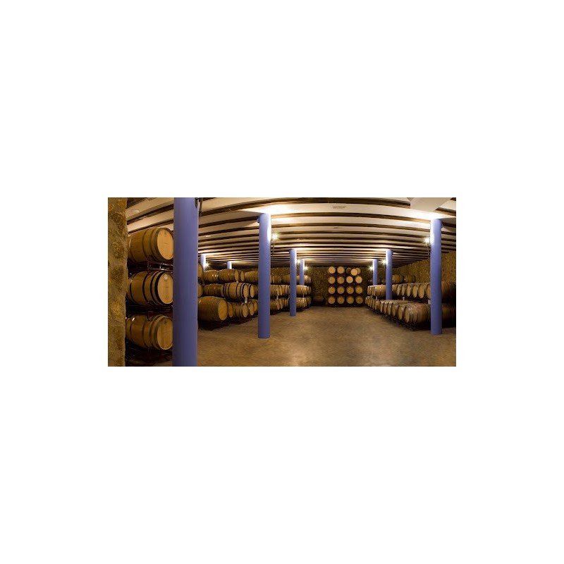 Bodegas Toribio