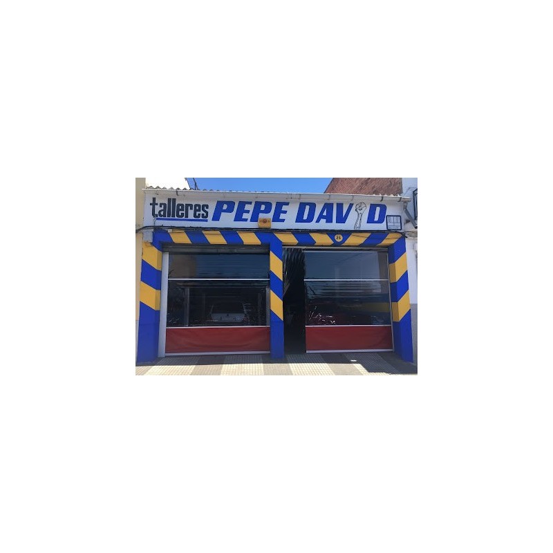 Talleres Pepe David