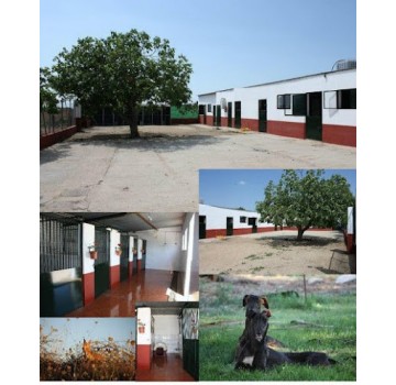 Residencia Canina el hogar del perro