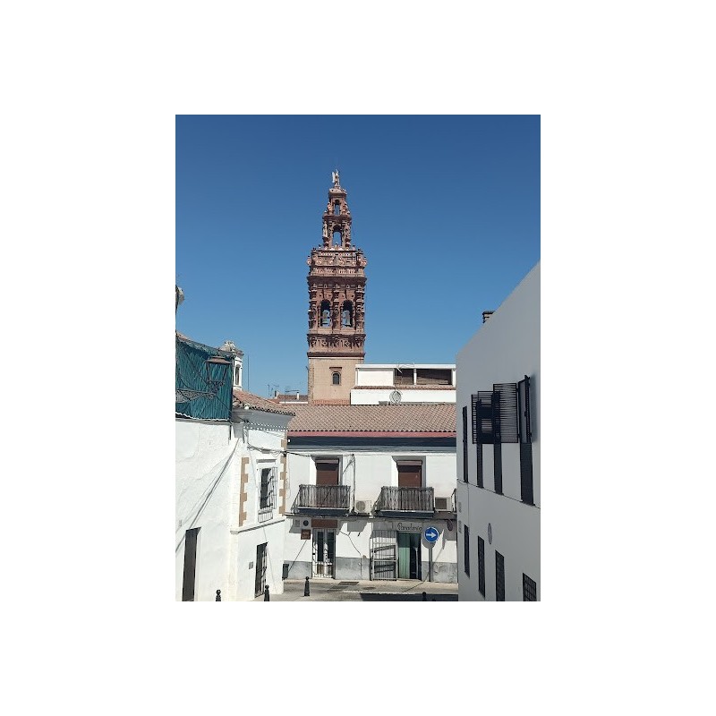 Ayuntamiento de Jerez de los Caballeros