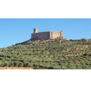 Castillo de Puebla de Alcocer