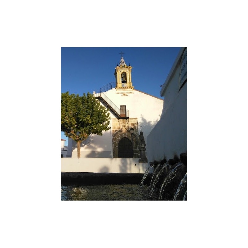 Higuera La Real