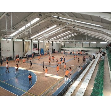 Club Pacense Voleibol