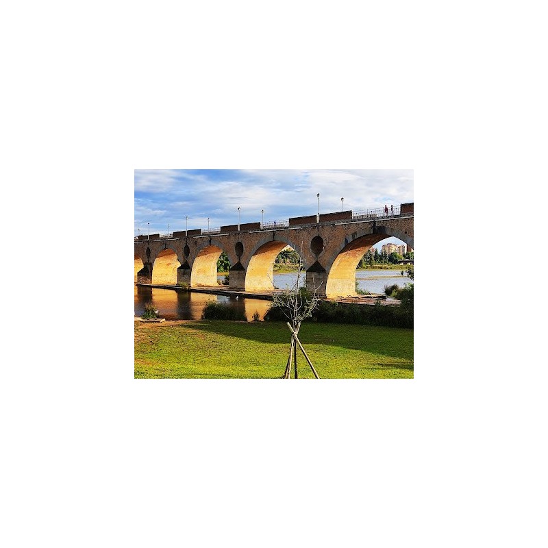 Puente de Palmas