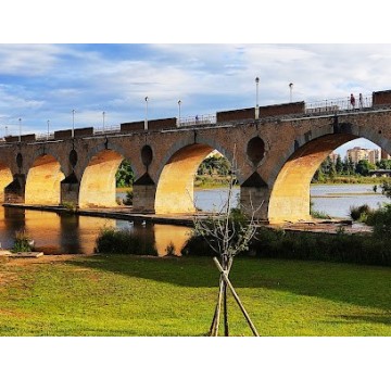 Puente de Palmas