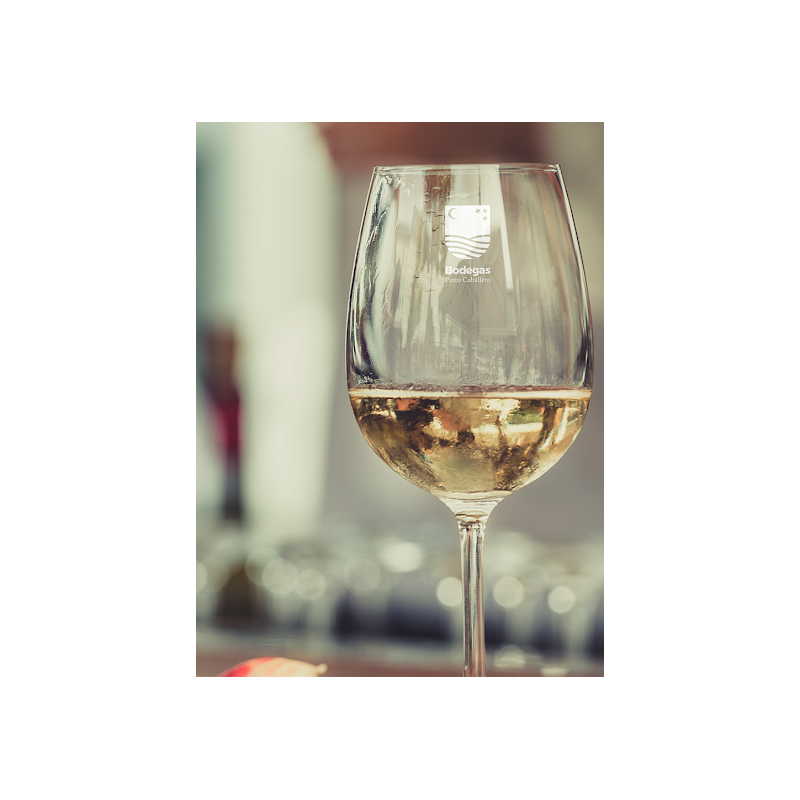 Bodegas Pinto Caballero