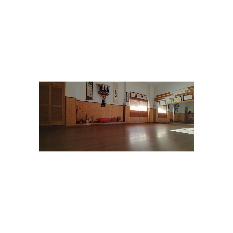 Kenshinkan Dojo