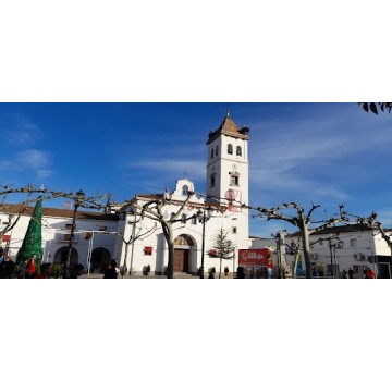 Ayuntamiento de Guadiana