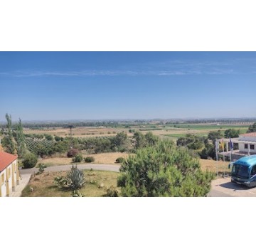 CICYTEX (Centro de Investigaciones Científicas y Tecnológicas de Extremadura)