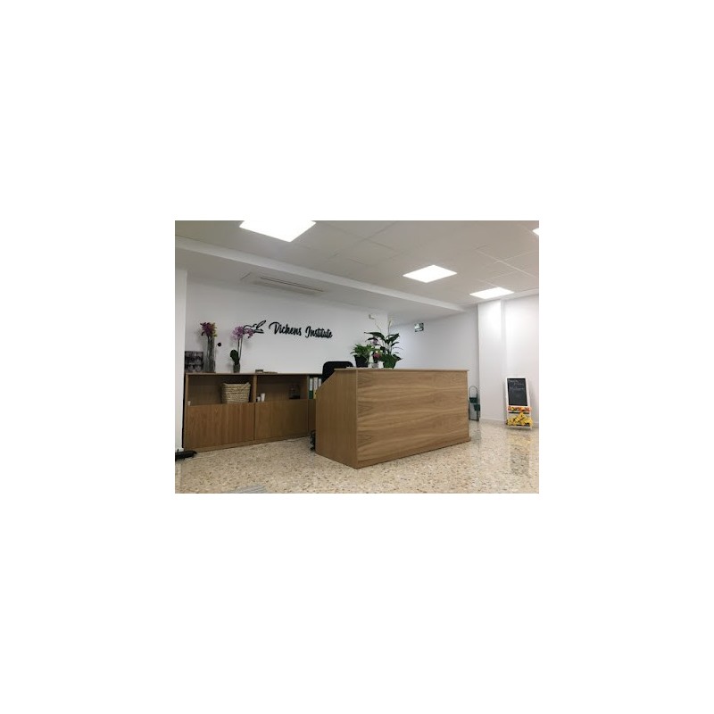 Instituto Dickens (María Pilar Reyes Ortiz)
