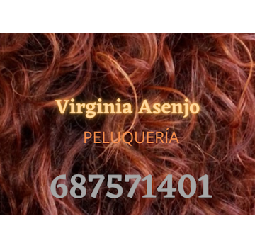 Peluquería Virginia Asenjo