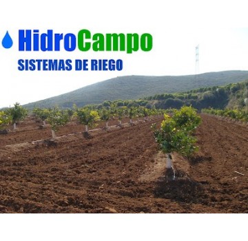 Hidrocampo