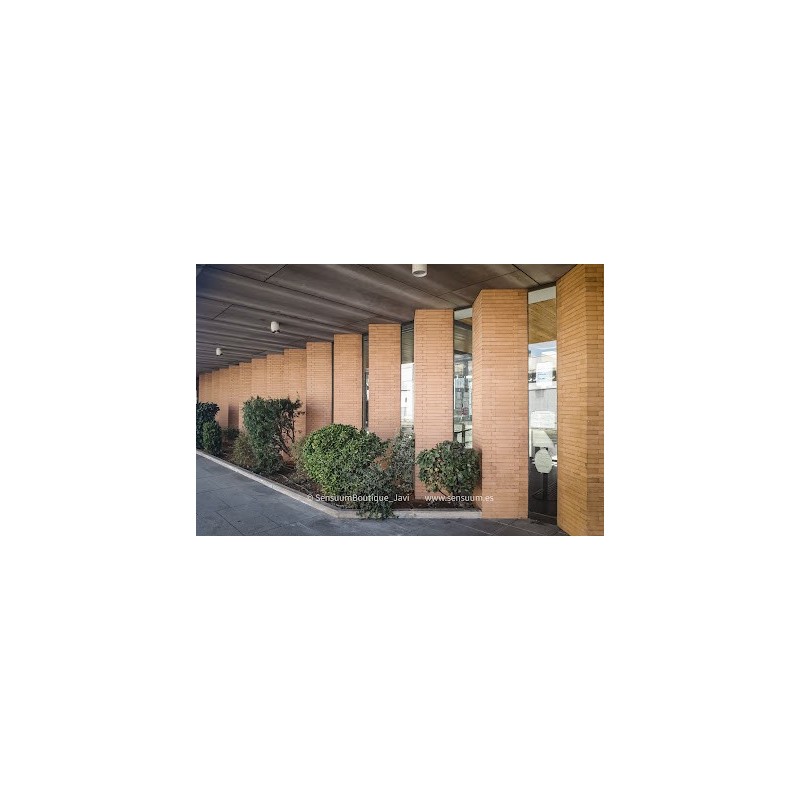 Registro Civil De Mérida