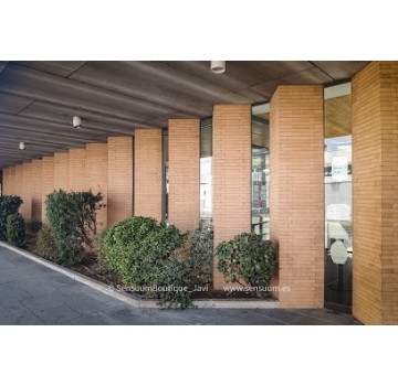 Registro Civil De Mérida