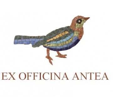 Ex Officina Antea