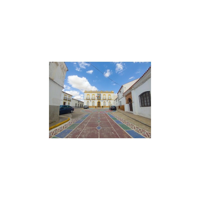 Ayuntamiento de Granja de Torrehermosa Centralita