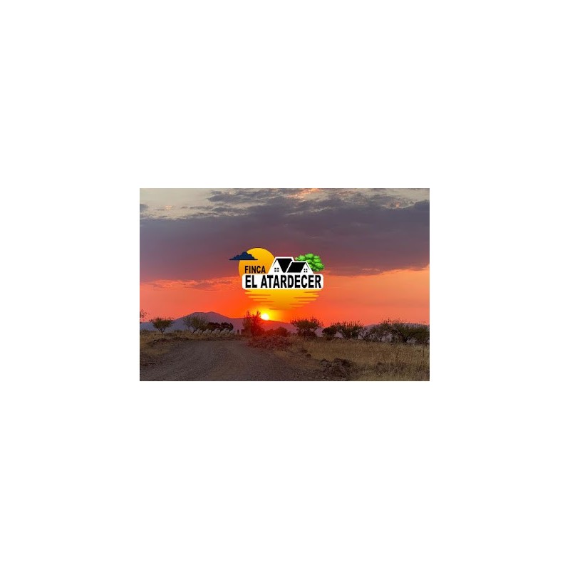 finca