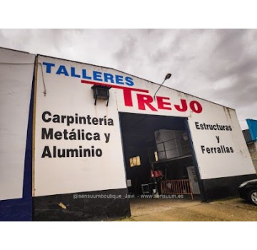 Talleres Trejo