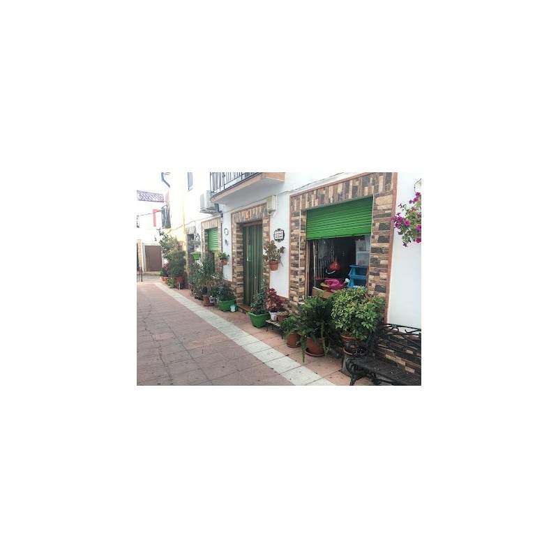 La tienda de Juani