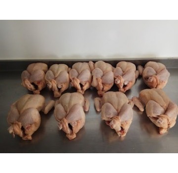 Asador de pollos Golden Chicken