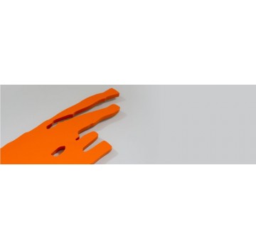 Asesores Empresariales Asociados SL