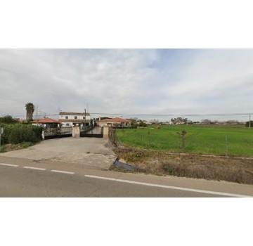 Nobleza del Guadiana